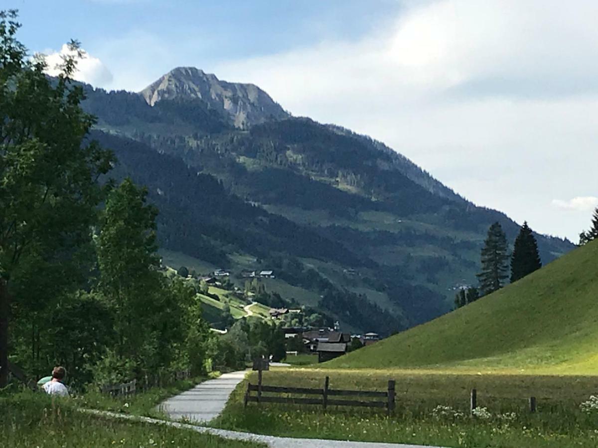 Apartmán Haus Scharl Grossarl Exteriér fotografie